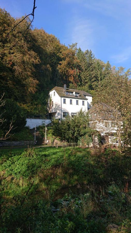 Ferienwohnung Haus Schoeneck Schönecken Εξωτερικό φωτογραφία